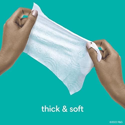 Pampers Sensitive Baby Wipes, Water Based, Hypoallergenic and Unscented, 8 Flip-Top Packs, 4 Refill Packs (1008 Wipes Total) (Packaging May Vary)