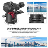 SmallRig Mini Ball Head, Tripod Head Camera 360° Panoramic with 1/4" Screw 3/8" Thread Mount and Quick Release Plate Metal Ball Joint for Monopod, DSLR, Phone, Gopro, Max Load 4.4lbs/2kg - BUT2665