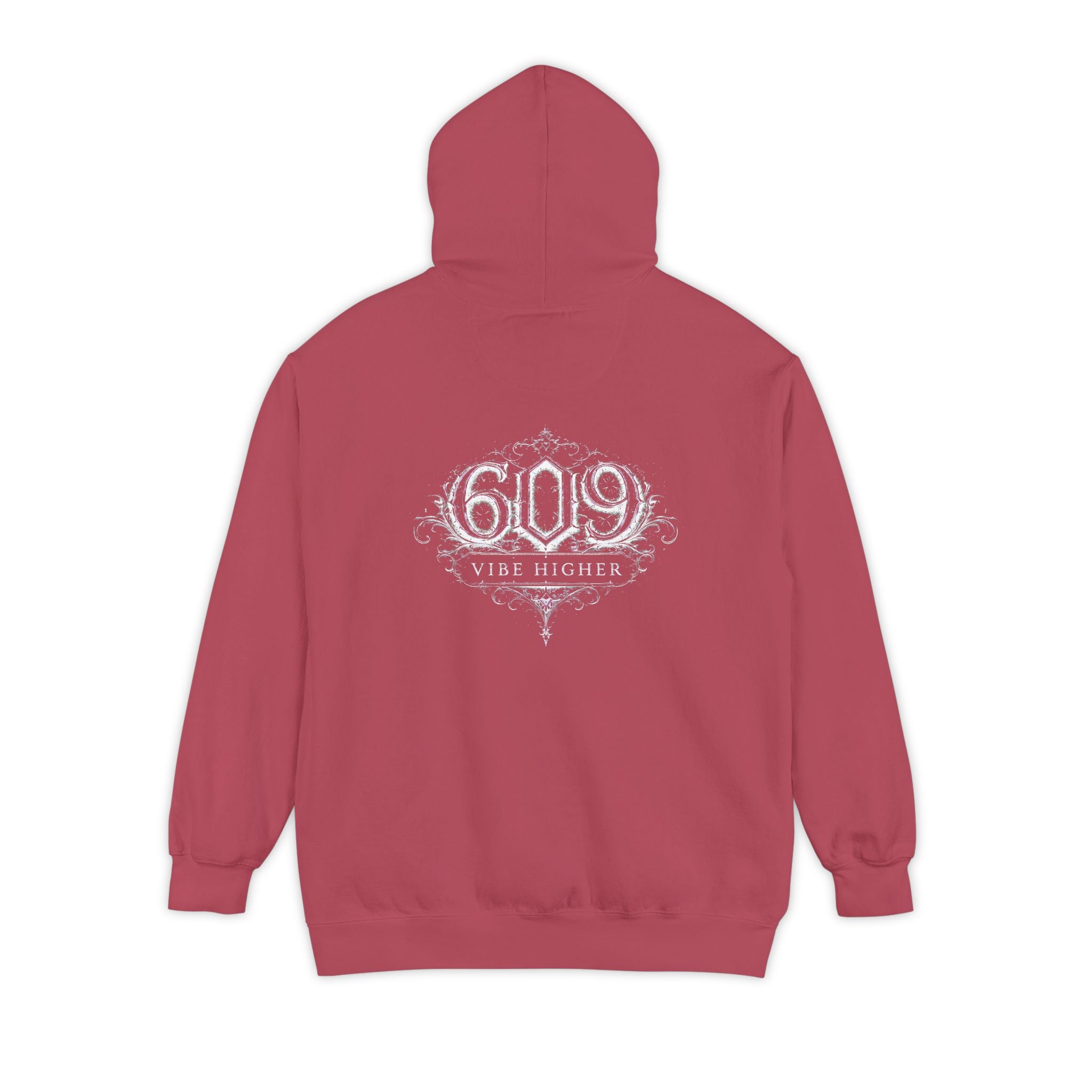 ALIGNED / 609 VIBE HIGHER | Hoodie