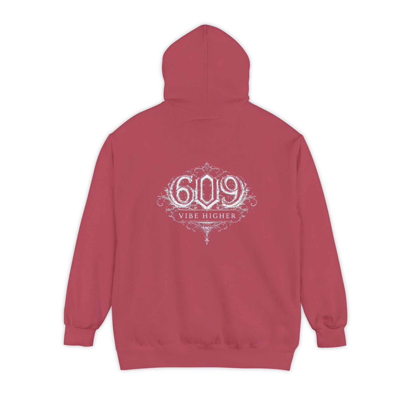Aligned / 609 Vibe Higher | Hoodie