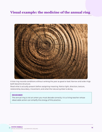 The nature medicine visual inside The Personal New Year