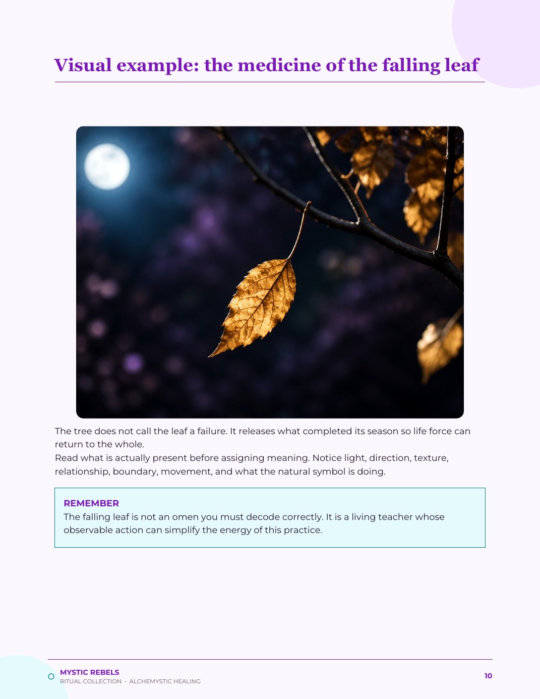 The nature medicine visual inside The Full Moon Unburdening