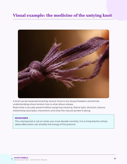 The nature medicine visual inside The Gentle Unbinding