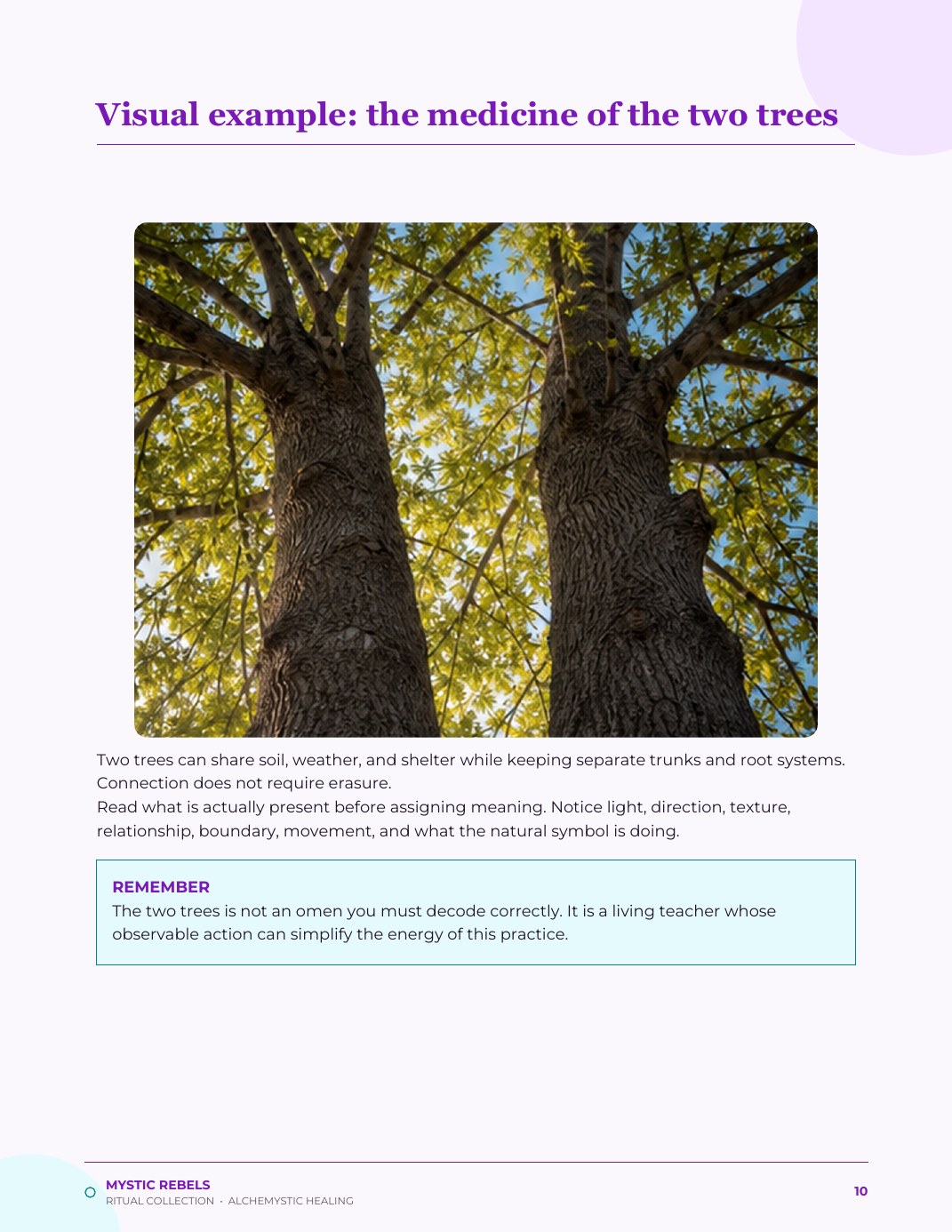 The nature medicine visual inside The Honest Heart
