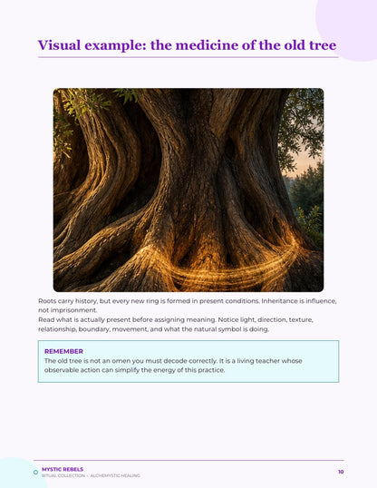 The nature medicine visual inside The Kind Ancestors