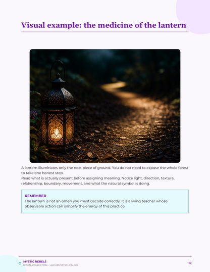 The nature medicine visual inside The Lantern Below