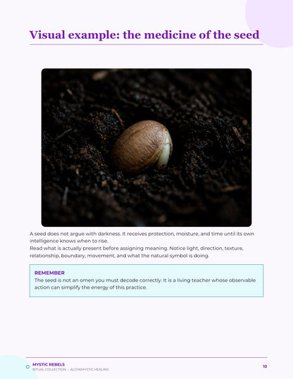 The nature medicine visual inside The Dark Moon Seed