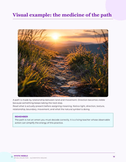 The nature medicine visual inside The Open Road
