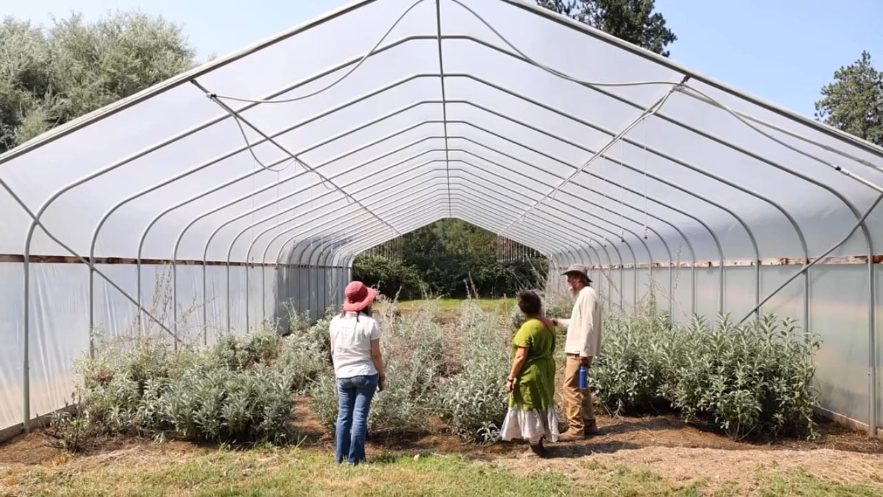 Mountain Rose Herbs team walking through botanicals in a greenhouse