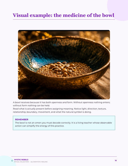 The nature medicine visual inside The Receiving Bowl