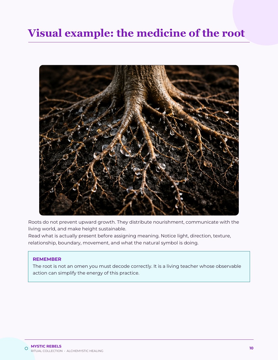 The nature medicine visual inside Roots Before Rising