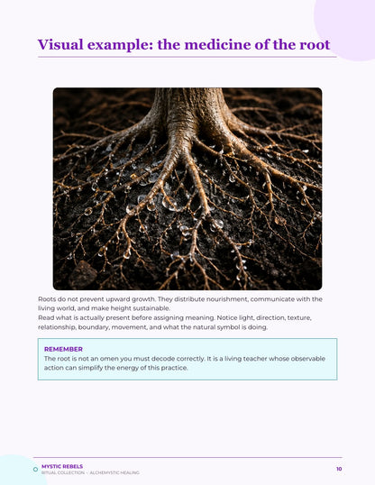 The nature medicine visual inside Roots Before Rising