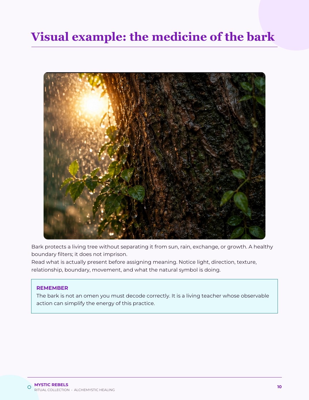 The nature medicine visual inside The Sacred Threshold