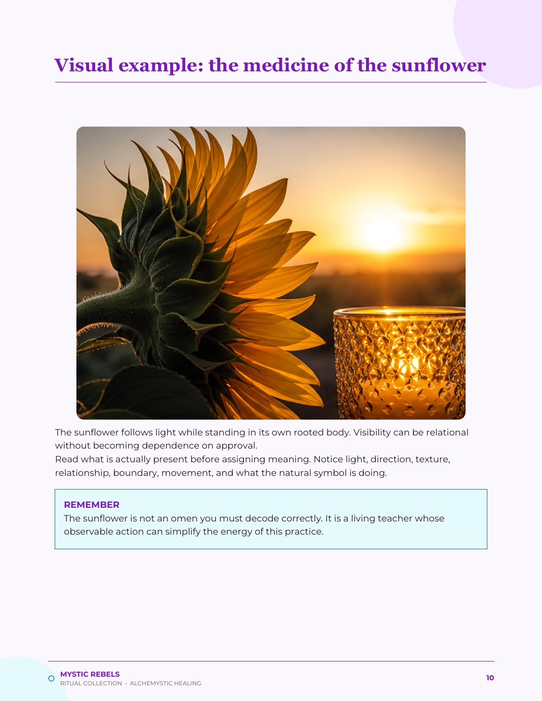 The nature medicine visual inside The Sovereign Flame