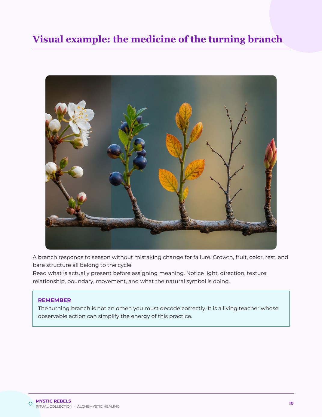 The nature medicine visual inside The Turning Season