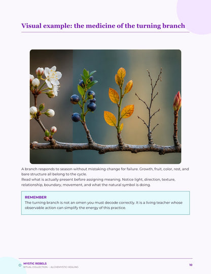 The nature medicine visual inside The Turning Season
